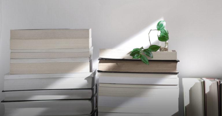 Libros recomendados para el verano