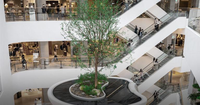 2022 será un buen año para los parques comerciales en España