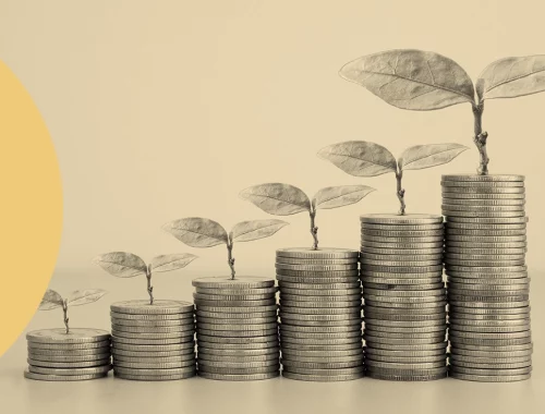 What is sustainable investment?