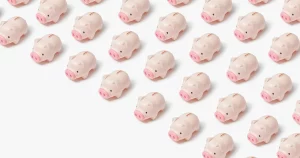 Plan de inversión paso a paso: cómo invertir tus ahorros. Step-by-step investment plan: how to invest your savings. Plan d’investissement étape par étape : comment investir vos économies. Piano di investimento passo dopo passo: come investire i tuoi risparmi. Plano de investimento passo a passo: como investir as suas poupanças. Investmentplan Schritt für Schritt: So investieren Sie Ihre Ersparnisse.